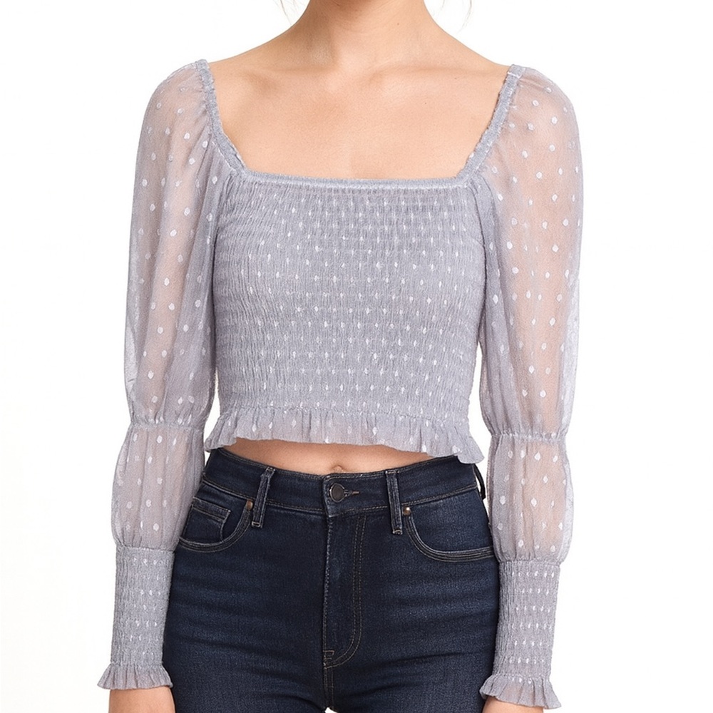 (A7) Free People Grey Mesh Smocked Long Sleeve Crop Top, Size Small, NWT